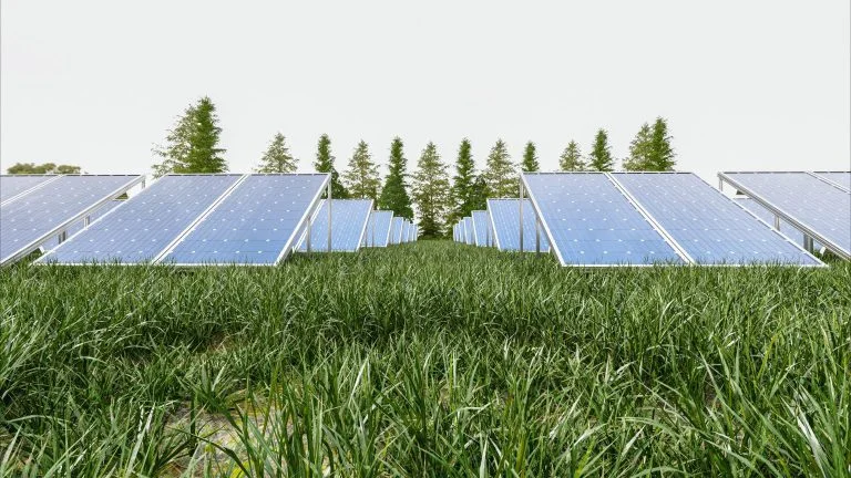 solar-power-panel