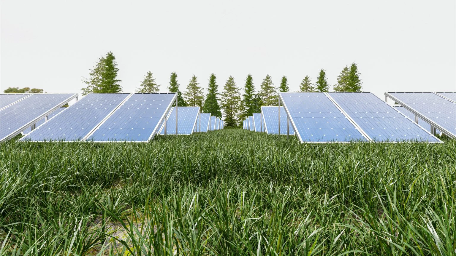 solar-power-panel